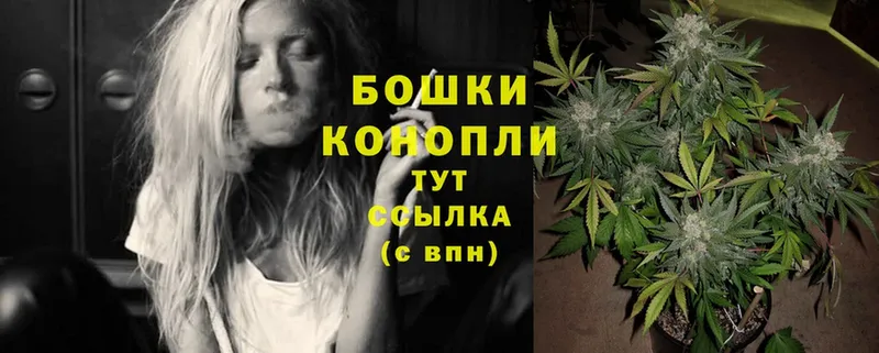 Бошки Шишки White Widow  KRAKEN маркетплейс  Нолинск 